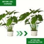 6/18/30Pcs Plant Support Stakes, With Twist Ties Plant Support Rings, Flower Stand Bracket Interlocking Flower Support Rings Support Rods Indoor Plant Flower Stand Balcony Branch Climbing Vine Pot - Image 10