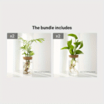 1Pc, Hydroponics Plants Desktop Glass Planter Vase For Home Decoration, Plant Propagation Station Bud Vase, Desktop Hydroponics Plant Vases For Living Room Table Decoration Kitchen Office - Image 7