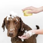 Soft Pet Bath Massage Gloves With Gentle Brush Bristles - Safe & Comfortable Dog & Cat Grooming Brush, Non-Slip Grip, Durable Plastic & Design For Sensitive Light Beige, Easy To Clean, Suitable For Puppies, Small & Large Dogs, Petsafe Material, Puppy Care - Image 6