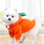 Cute Fruit Design Dog Hoodie - Winter Warm Fleece Pet Clothes For Dogs Christmas Gift - Image 12