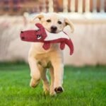 1Pc Durable Crocodile-Shaped Interactive Plush Toy For Dogs - Satisfies Natural Chewing Instinct, Provides Mental Stimulation, And Encourages Active Play - Soft, Textured, And Squeaky Design For Endless Fun - Image 8