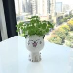 1Pc, Ceramic Flowerpot Mini Cat Shaped Cartoon Cute Potted Plant Desktop Potted Cat Plant Pot Diy Desk Decorate Science Education School Gift - Image 11