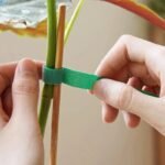 5 Meters/Roll Reusable Nylon Plant Tie - Green Garden Plant Bandage Cable Tie - Self-Adhesive Plant Fastening Tape - Suitable For Plants, Gardens, Home - High-Quality, Durable And Easy To Use - Image 2