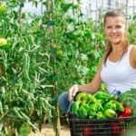 5 Meters/Roll Reusable Nylon Plant Tie - Green Garden Plant Bandage Cable Tie - Self-Adhesive Plant Fastening Tape - Suitable For Plants, Gardens, Home - High-Quality, Durable And Easy To Use - Image 5