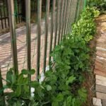 2Pcs Heavy-Duty Pvc Garden Trellis Mesh - Sturdy Support For Climbing Plants, Flowers & Vegetables, Durable Weather-Resistant Material With Easy Setup & Secure Stakes For Outdoor Gardening - Image 11