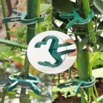 50Pcs Reusable Green Plant Support Clips - Adjustable Garden & Greenhouse Brackets For Vines, Flowers, Seedlings, And Tomatoes - Durable Green Plastic With Metal Clasps For Secure Plant Growth, Garden Support Accessories | Secure Gardening Clips | Reusable Garden Clips - Image 5