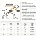 Warm Floral Print Pet Sweater For Small And Medium Dogs - Cozy And Stylish Cold Weather Dog Apparel - Image 3