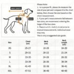 Cozy Dog & Cat Hooded Sweatshirts - Stylish Pullover Jackets For Small To Medium Pets, Polyester, All-Season Winter Wear, Available In Red, Pink, Brown, Orange, Gray, And Navy Blue, Pet Winter Clothing | Stylish Pet Apparel | Durable Pet Gear - Image 3