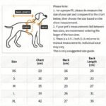 Adorable Autumn And Winter Cat Winter Clothes, Thickened Vest For Warmth, Anti-Fall Design For Puppies, Kittens, And Small Pets - Image 3